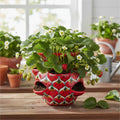Talavera Strawberry Planter | Red Peacock Design